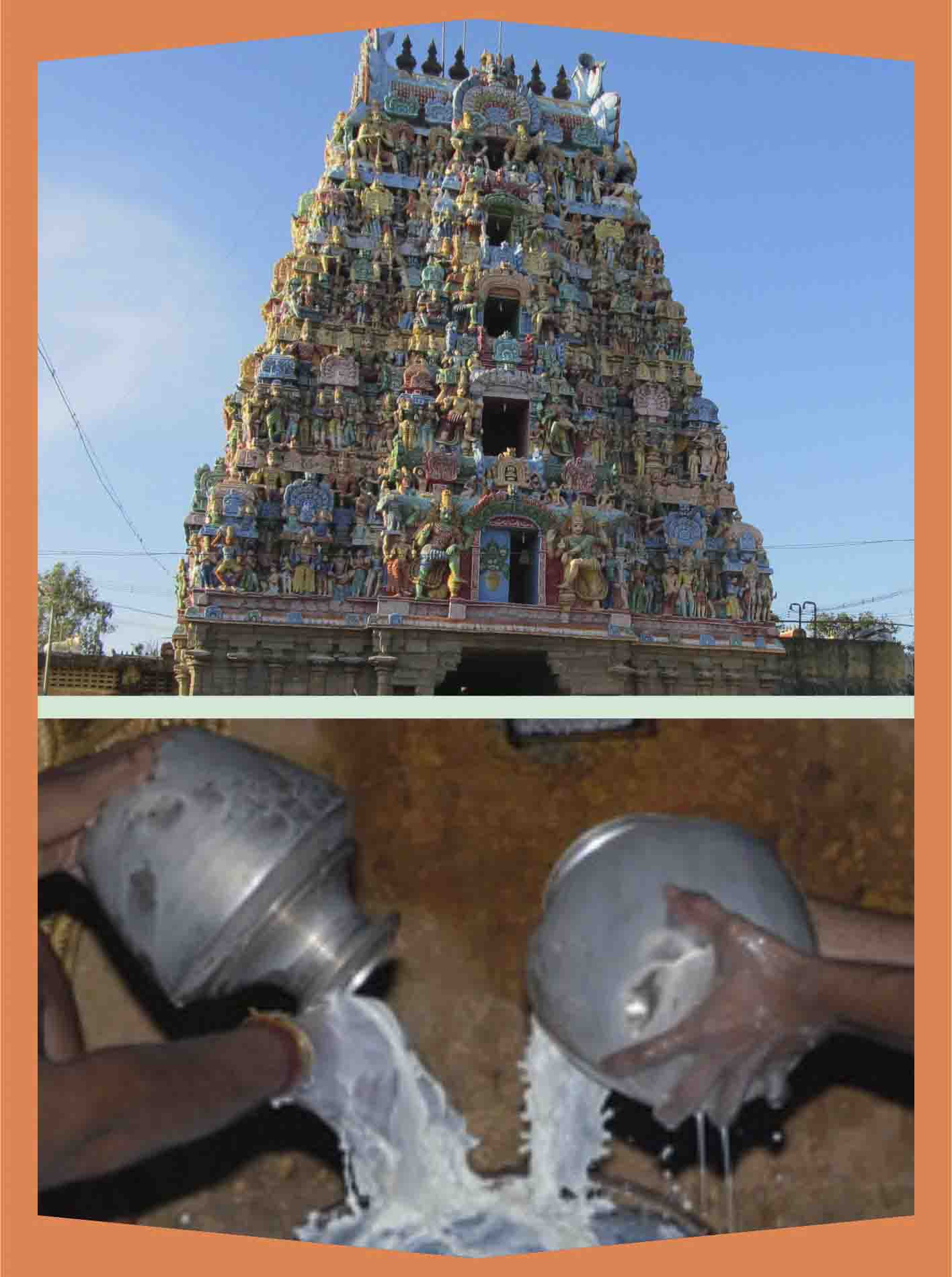 Alangudi-Guru-Abishekam for Swamy & Ambal
