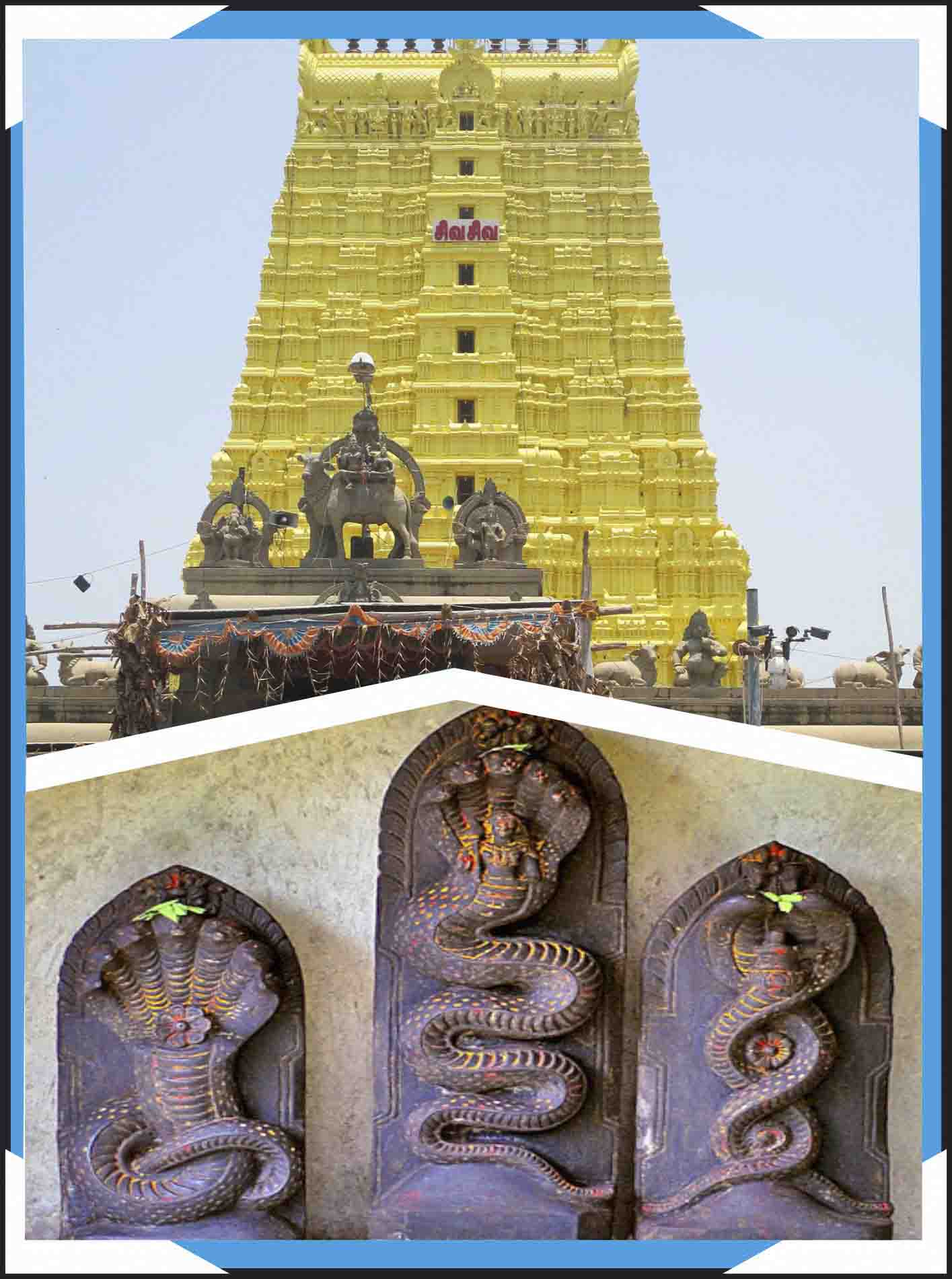 Rameswaram - Sarpa Shanthi Puja- Naga Prathista
