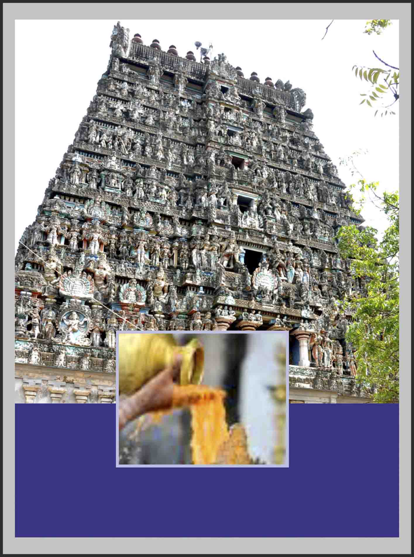 Vaitheeswaran Koil Temple Spl Puja for Meena Rasi