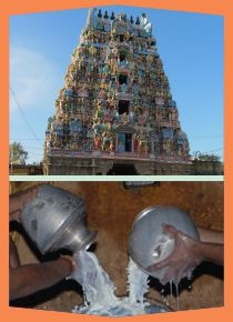 Alangudi- Special Parihara Puja for Guru