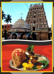 Chennai - Nanganallur - Baktha Anjaneyar Temple Spl Puja for Navagraha Dhosam