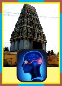 Coovum - Thiripuranthakeswarar Temple Abishekam for Neuro Issue