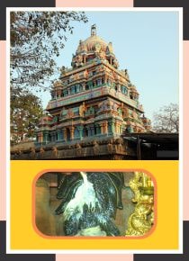 Govindavadi - Sri Dakshinamoorthy Temple Guru Abishekam