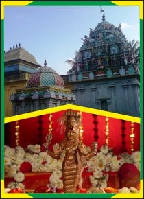 Keezha Perumpallam -Special Parihara Puja for Kethu