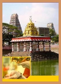 Marundeeswarar Temple - Spl Parihara Puja for Prolonged Diseases