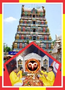 Nalladai - Agneeswarar Temple Spl Abishekam for Bharani Star