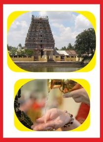 Thirunaraiyur - Abishekam for Saneeswara Family