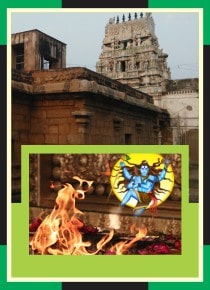 Thirunthudevankudi - Karkadeswarar Temple Spl Homam for Poosam Star