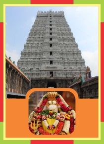 Thiruvannamalai - Sri Arunachaleswara Temple Spl Puja for Swami and Ambal