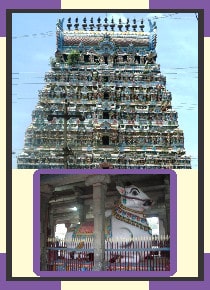 Thiruvidaimaruthur -  Mahalingaswamy Sarvadosha Nivarthi Abishekam