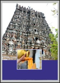 Vaitheeswaran Koil-Special Parihara Puja for Angarahan