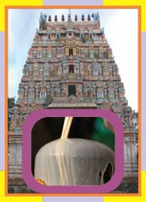 ThiruVazhuvoor – Veeratteswarar Temple Spl Abishekam for Kettai Star