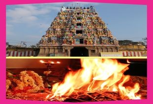 Thanthondreeswarar - Sri Kumkumavalli Sametha Temple Varamilagai Group Homam