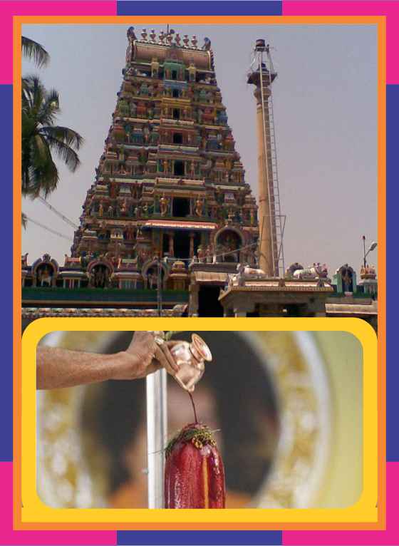 Avinashi - Avinashi Lingeswarar Temple Abishekam for Virchika Rasi