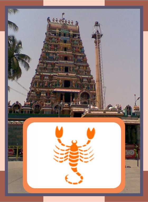 Avinashi - Avinashi Lingeswarar Temple Homam for Virchika Rasi
