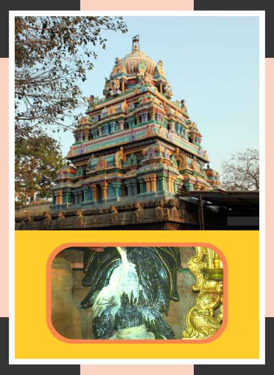 Govindavadi - Sri Dakshinamoorthy Temple Guru Abishekam