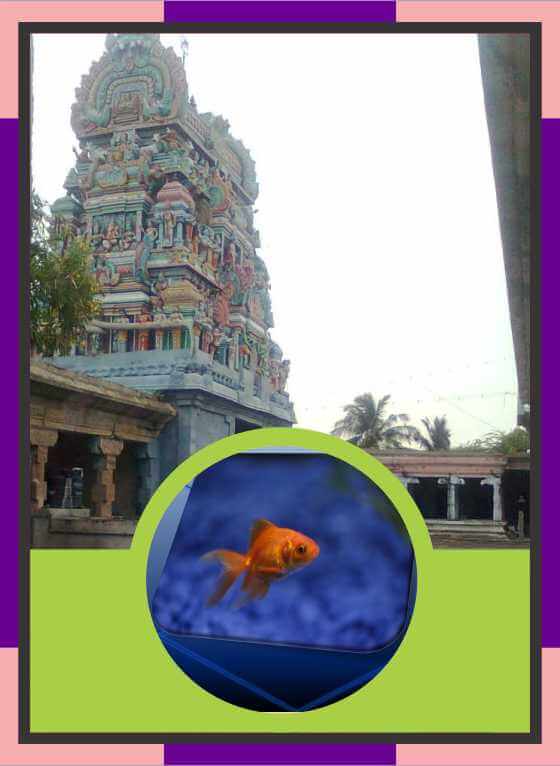 Karukudi - Kailasanathar Temple Spl Parihara Puja for Revathi Star