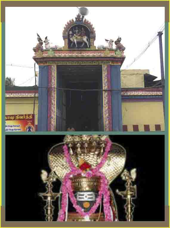 Keezha Perumpallam - Kethu - Abishekam