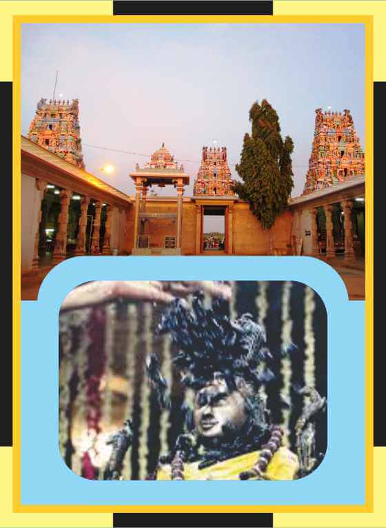 Kodumudi -Magudeswarar Temple Abishekam for Avittam Star