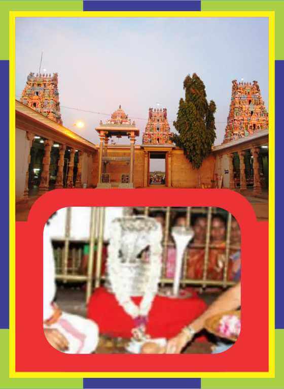 Kodumudi – Magudeswarar Temple Rahu / Kethu Naga Prathista