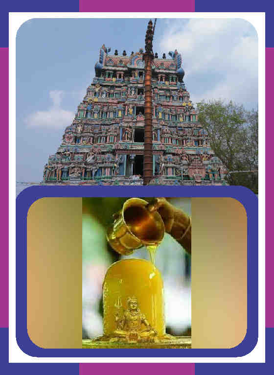 Nallur - Sri Kalyanasundareswarar Honey Abishekam