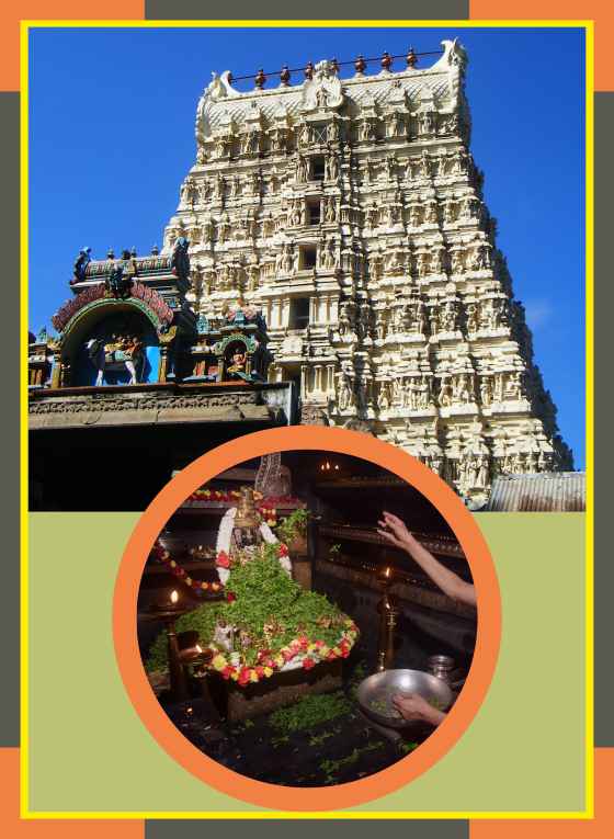 Papanasam - Papasanathar Temple Spl Puja for Swami and Ambal