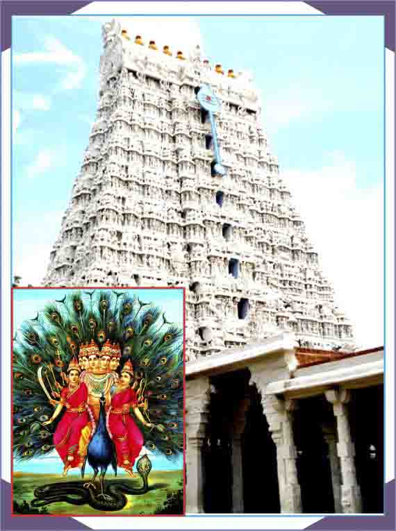 Thiruchendur-Murugan-Trishati Archana-Satru Samhara Moorthy