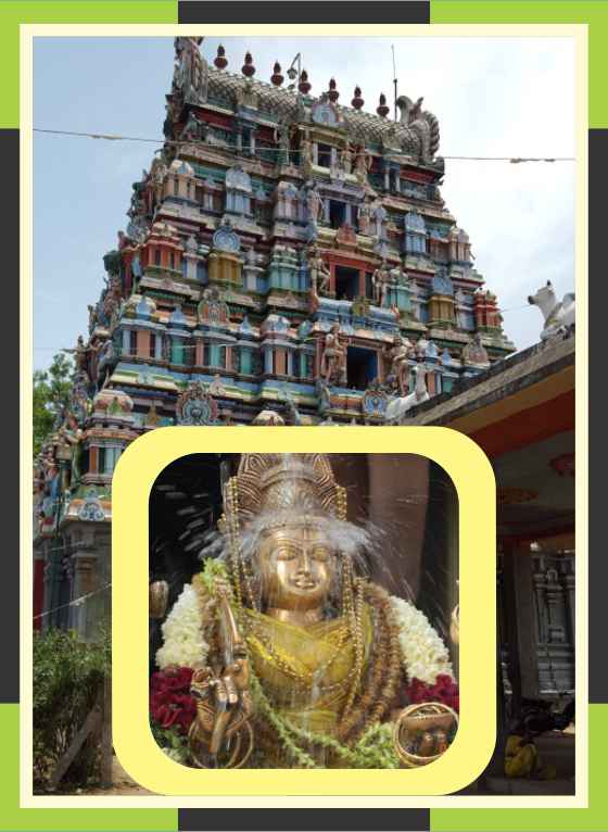 Thirukkattuppalli – Thiruvaneswarar Temple Swamy Ambal Abishekam for Poorattathi Star