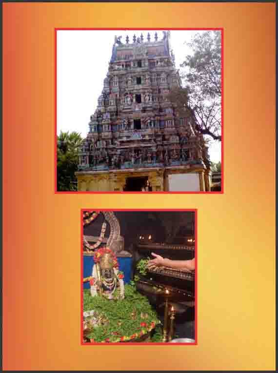 Thirukollikadu - Sri Agneeswara Swamy Temple Spl Parihara Puja for Thiruvathirai Star