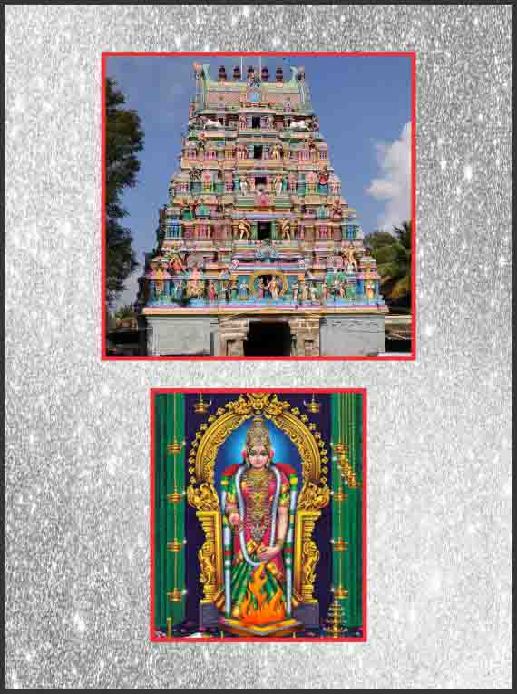 Thirumanancheri-Swayamvara Kala Parvathi Homam