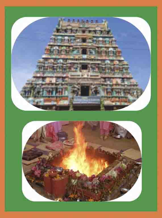 Thirunaraiyur - Mandhi Shanthi Homam