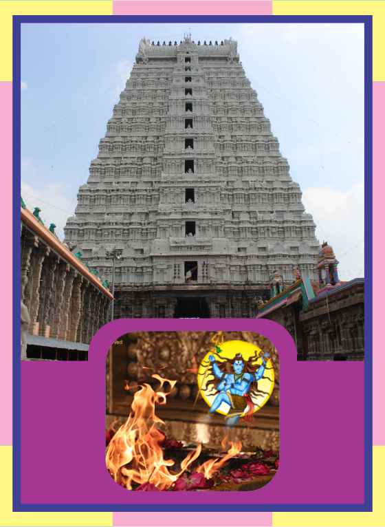 Thiruvannamalai - Sri Arunachaleswara Temple Rudra Homam