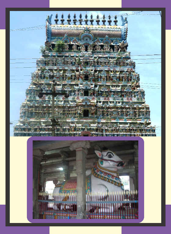 Thiruvidaimaruthur -  Mahalingaswamy Sarvadosha Nivarthi Abishekam