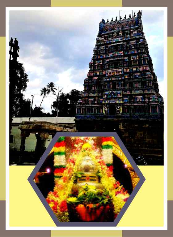 Uthiramerur - Kedareshwarar Kedharagowri Temple Abishekam for Swamy and Ambal